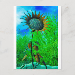 Metal Art Sunflower Colourful Background Postcard