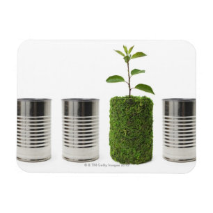 Metal cans and new seedling growth showing magnet