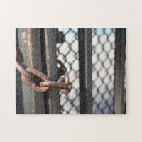 Metal Chain Link Fence Original NYC Photograph