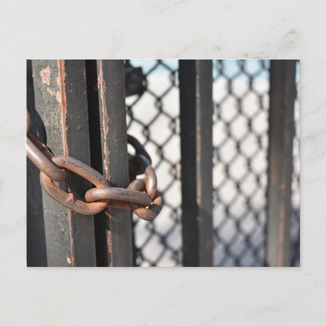 Metal Chain Link Fence Original NYC Photograph Postcard (Front)