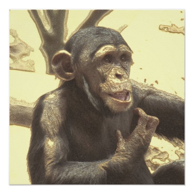 metal Chimp Poster (Front)