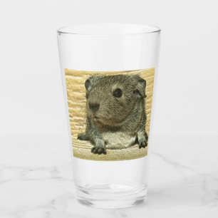 metal guinea pig glass