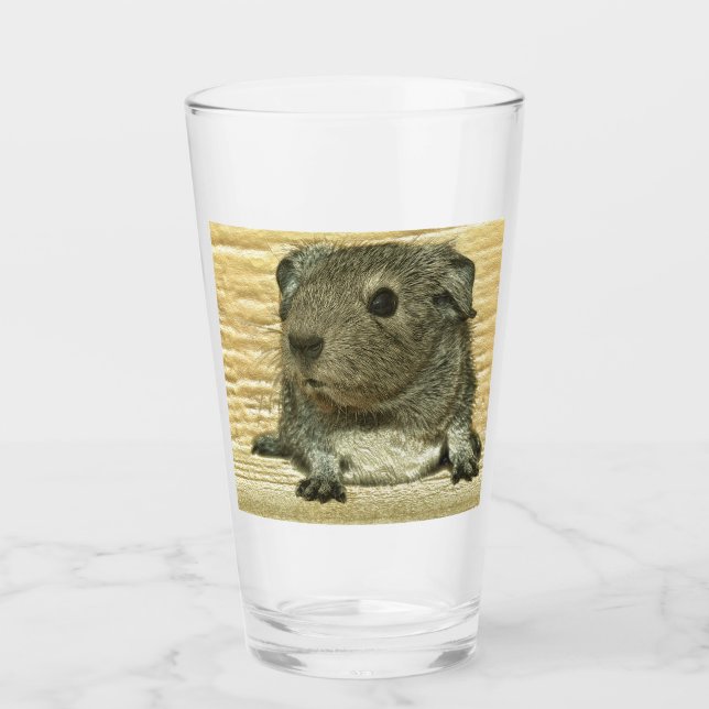 metal guinea pig glass (Front)