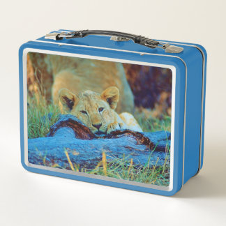 Metal Lunchbox lion cub