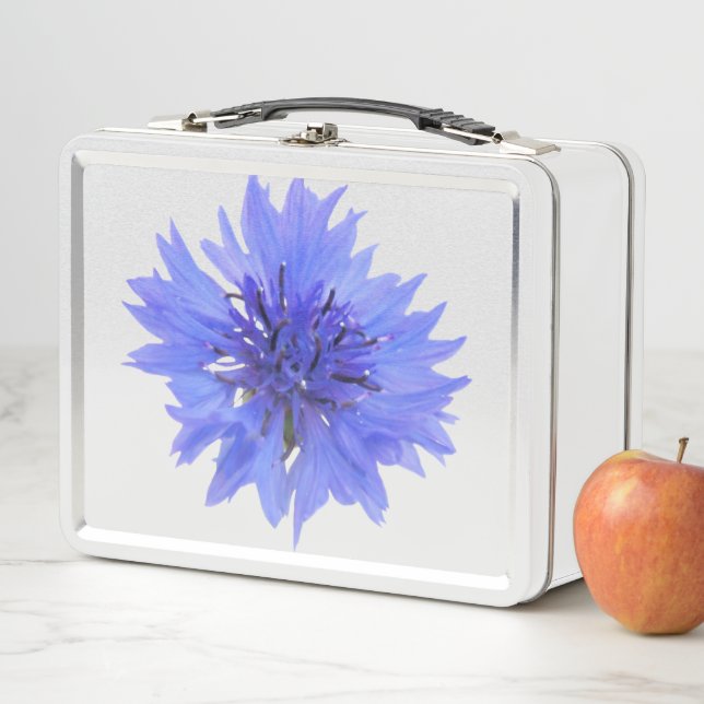 Metal lunchbox with blue cornflower design (In Situ)