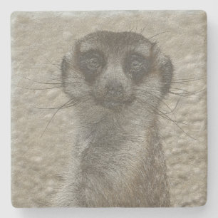 metal meerkat stone coaster