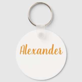 Metal ring keychain