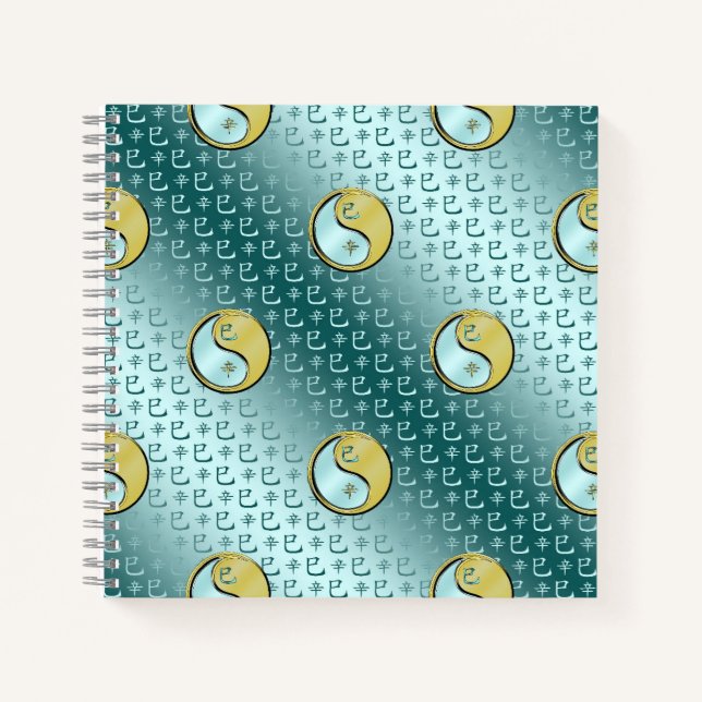 Metal Snake Notebook (Front)