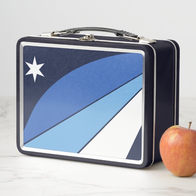 Metal Stainless Lunchbox with flag of Columbia, SC (In Situ)