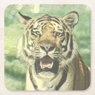 metal tiger square paper coaster