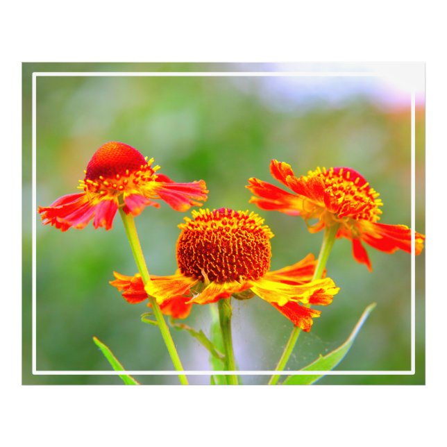 Metal Wall Art (Front)