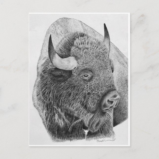 Metal Wall Art Postcard (Front)