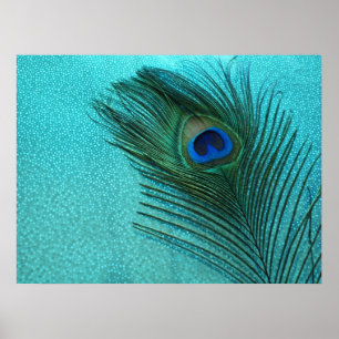 Metallic Aqua Blue Peacock Feather Poster