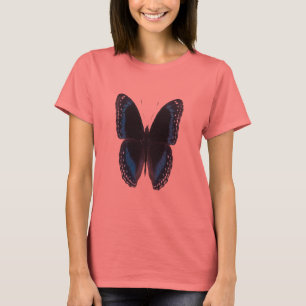 Metallic-blue-on-black butterfly, ringer t-shirt