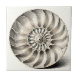 Metallic Nautilus Shell Spiral Geometric Tile