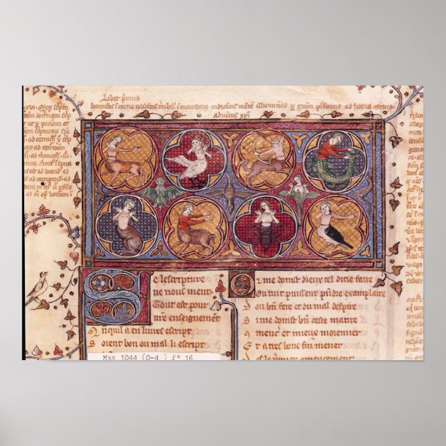 Metamorphoses, from Ovid Moralise Poster (Front)