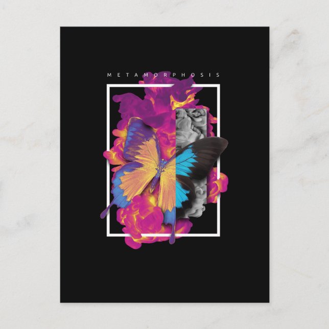 Metamorphosis  Butterfly Postcard (Front)