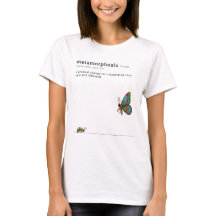 Metamorphosis - caterpillar to butterfly