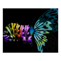 Metamorphosis poster