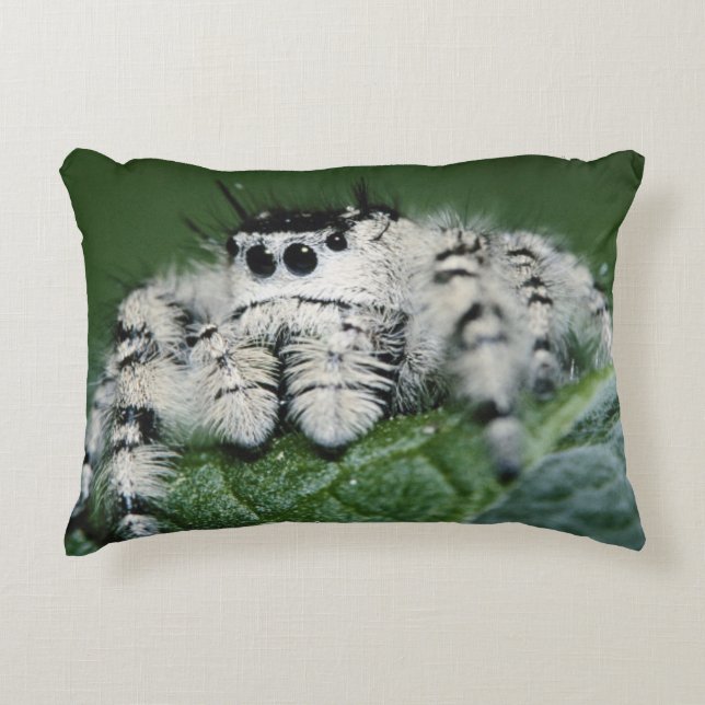 Metaphid Jumping Spider Decorative Cushion (Front)