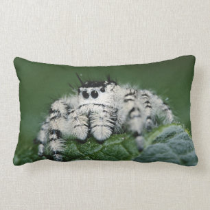Metaphid Jumping Spider Lumbar Cushion