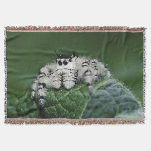 Metaphid Jumping Spider Throw Blanket