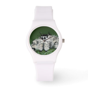 Metaphid Jumping Spider Watch
