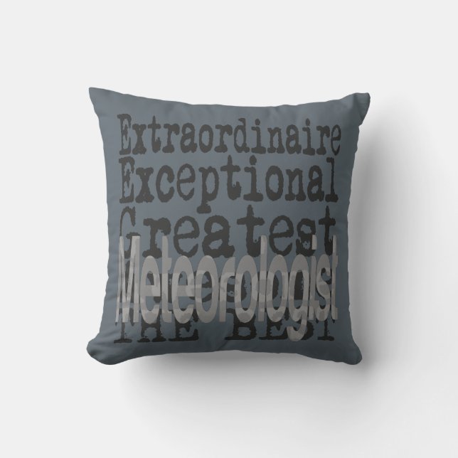 Meteorologist Extraordinaire Cushion (Front)