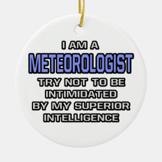 Meteorologist Joke ... Superior Intelligence Ceramic Tree Decoration