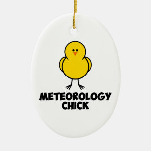 Meterology CHick Ceramic Tree Decoration