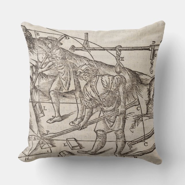 Methods of moving stone blocks, from 'Di Lucio Vit Cushion (Front)