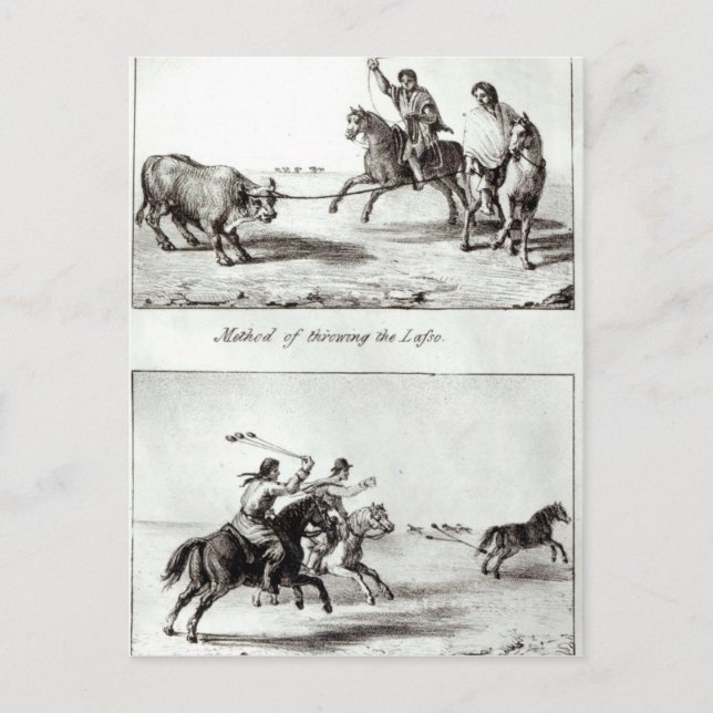 Methods of Throwing the Lasso and the Bolas Postcard (Front)
