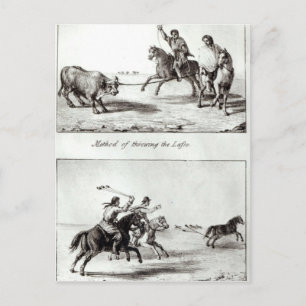 Methods of Throwing the Lasso and the Bolas Postcard