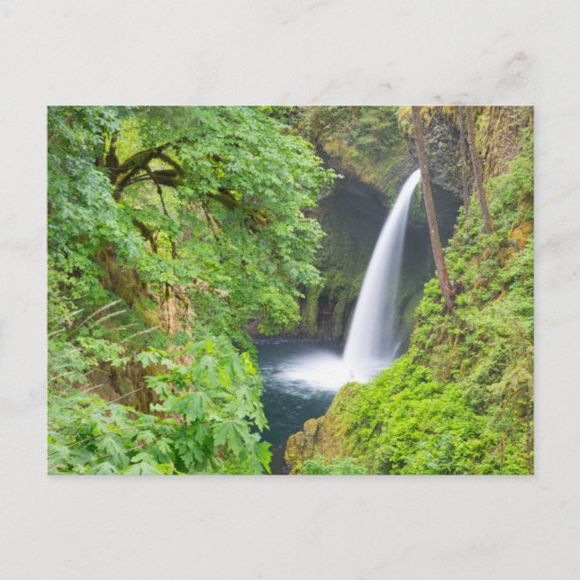 Metlako Falls Postcard (Front)