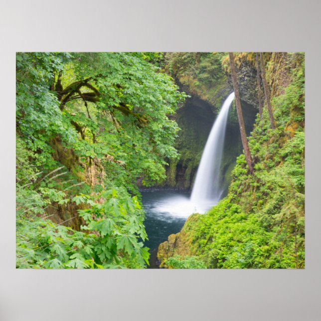 Metlako Falls Poster (Front)