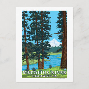 Metolius River Headwaters, Oregon Postcard