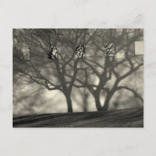 Metropolitan Shadows Postcard