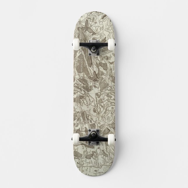 Metz Skateboard (Front)
