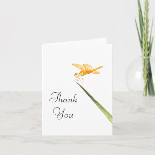 Mexican amber-wing dragonfly thank you card