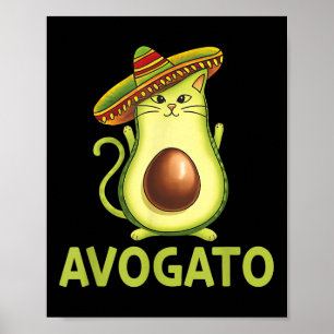 Mexican Avogatos Cinco De Mayo Fiesta Party Men Wo Poster