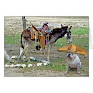 Mexican Bulldog