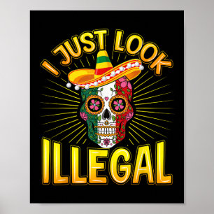 Mexican Cinco De Mayo Party I Just Look Illegal Poster