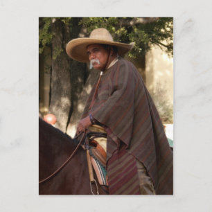 Mexican Cowboy Postcard