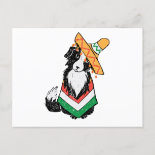 Mexican Dog Sombrero And Poncho Cinco De Mayo Postcard