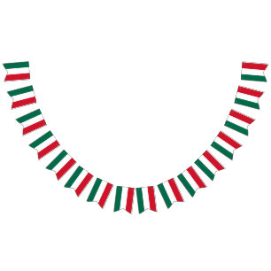 Mexican flag banner