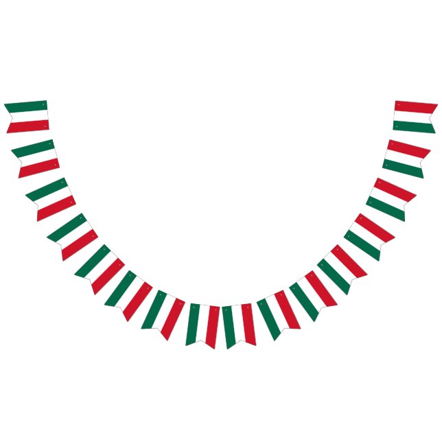 Mexican flag banner (All)