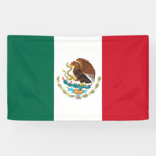 Mexican Flag Banner