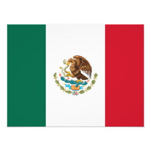 Mexican Flag - Flag of Mexico Photo Print
