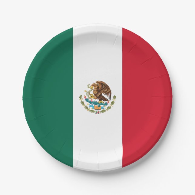 Mexican Flag Paper Plate (Front)