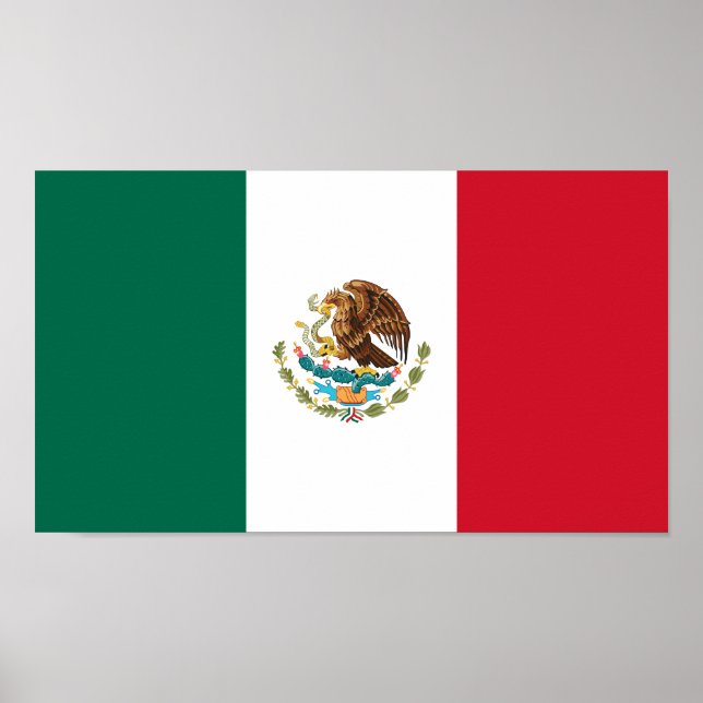Mexican Flag Poster (Front)